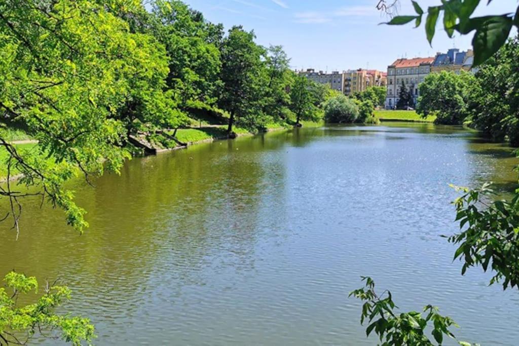Parkowy Apartament Apartment Wroclaw Bagian luar foto